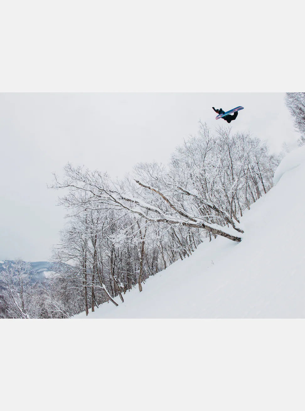 24-25 BURTON Family Tree High Fidelity バートン ファミリーツリー ハイフィディリティ スノーボード 板 オールマウンテン パウダー