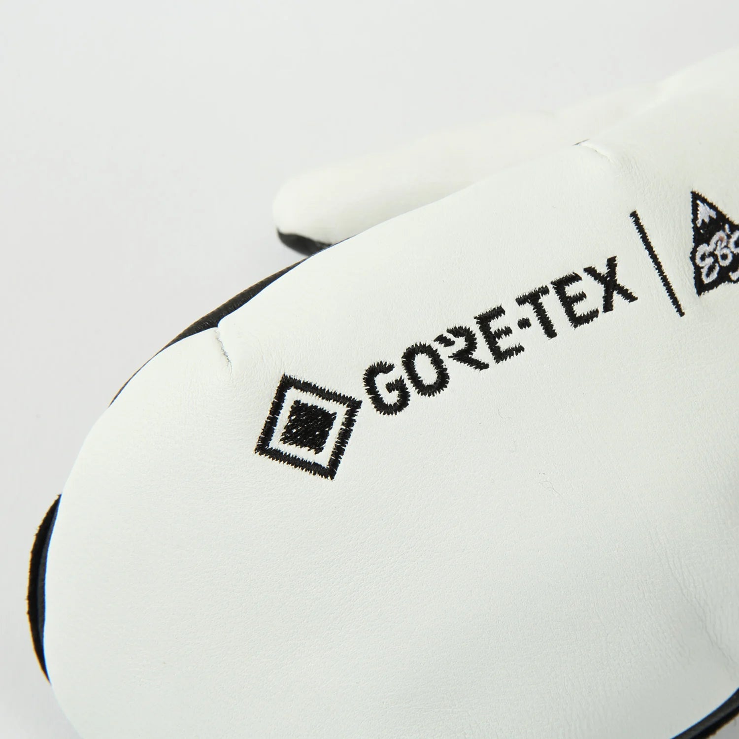 スノーボード グローブ エビス EBS CARVING MITT 25-26 送料無料 日本正規品 予約商品 店頭受け取り可能