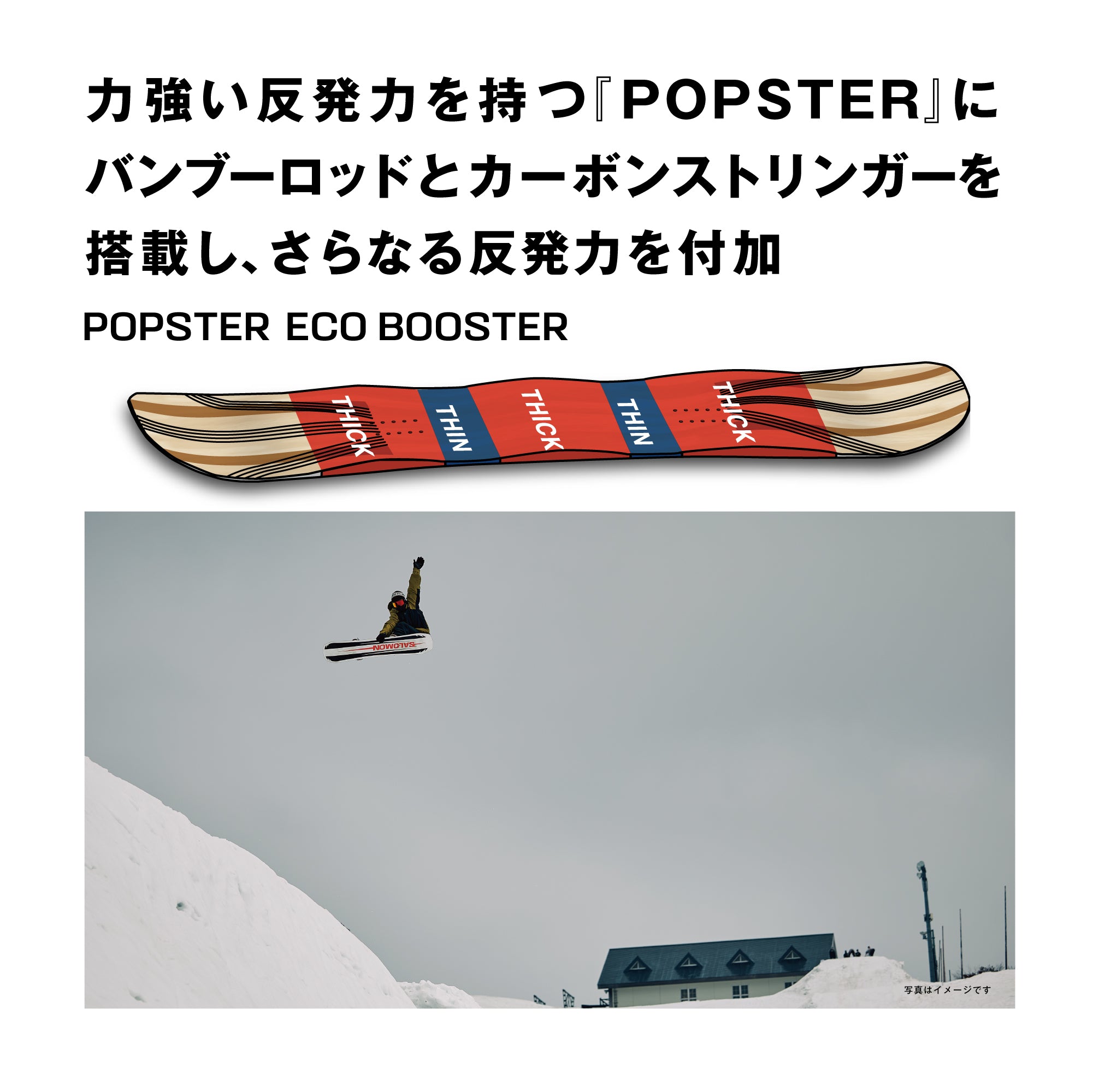 SALOMON サロモン ASSASSIN 25-26 スノーボード