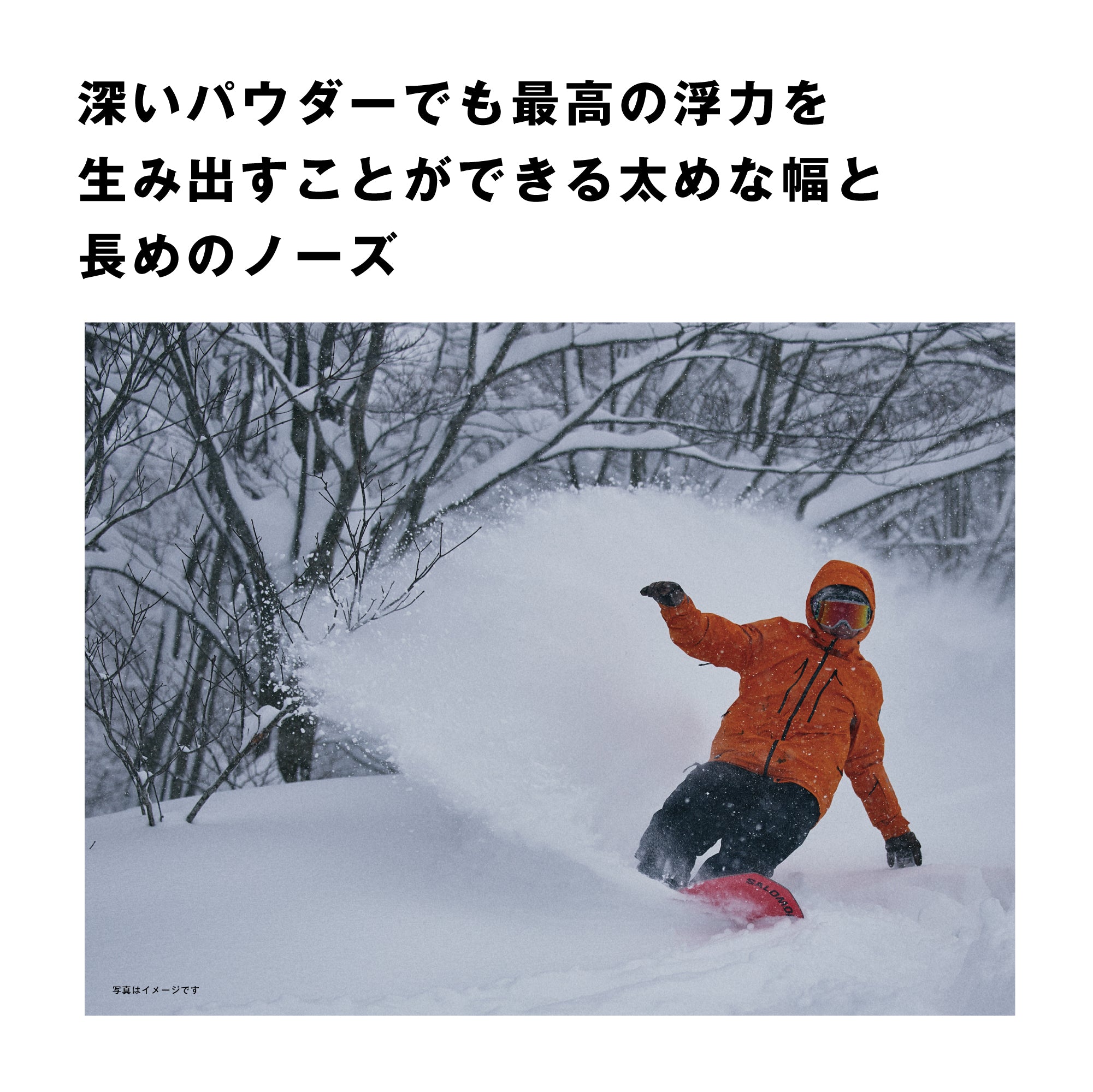 SALOMON サロモン DANCEHAUL 25-26 スノーボード ボード