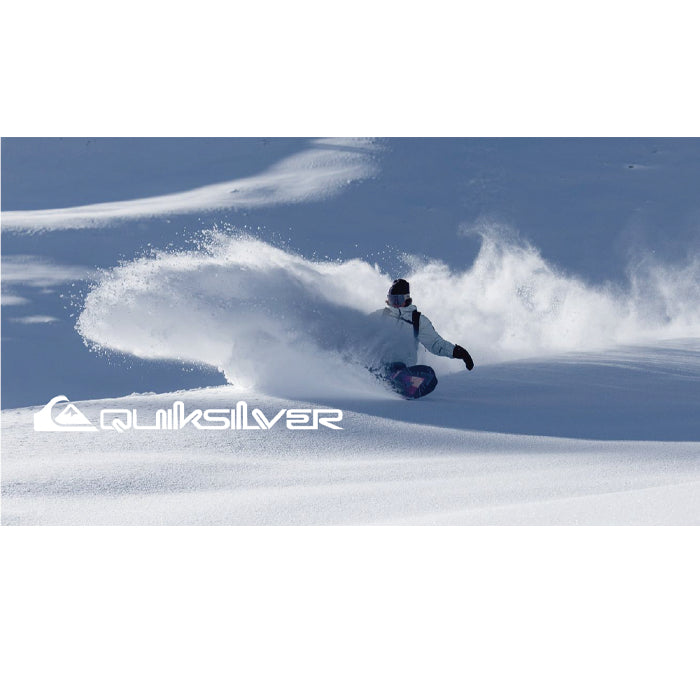 スノーボード ウェア クイックシルバー QUIKSILVER ESTATE YOUTH PT BPZ0 日本正規品