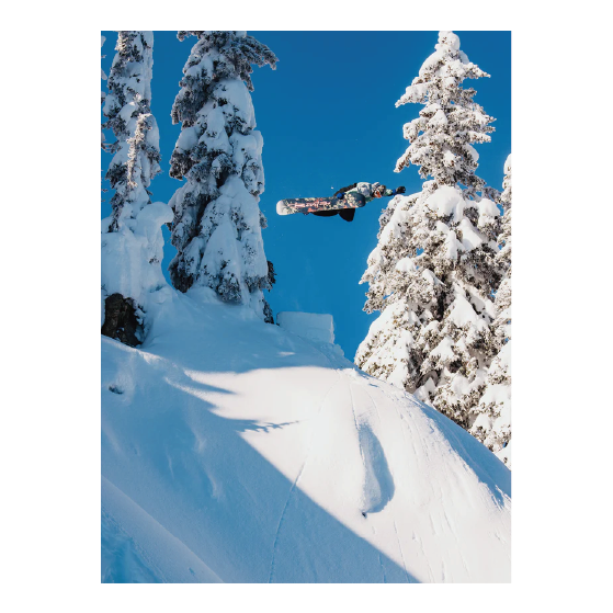 BURTON スノーボード バートン Men's Custom Camber JUNGLE 106881A97D 26-27 板 日本正規品