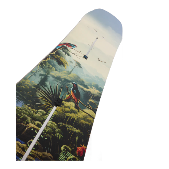 BURTON スノーボード バートン Men's Custom Camber JUNGLE 106881A97D 26-27 板 日本正規品