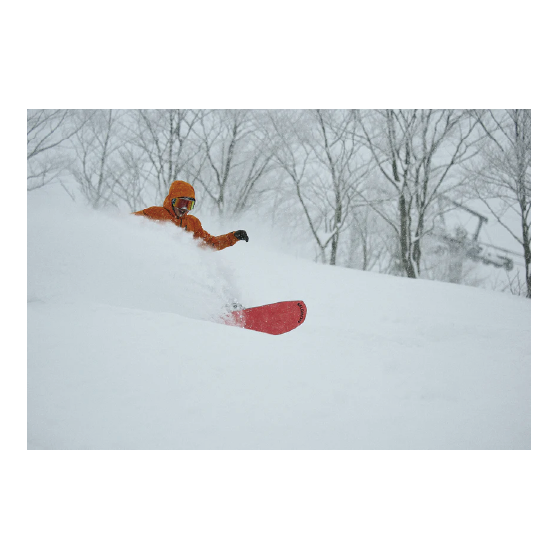 SALOMON サロモン DANCEHAUL 25-26 スノーボード ボード