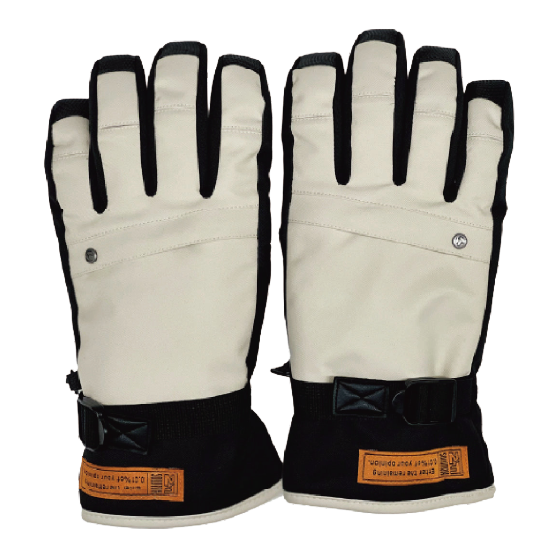 FNS49 フォーナイン SB GLOVE(5F) 25-26 スノーボード グローブ L.BEG