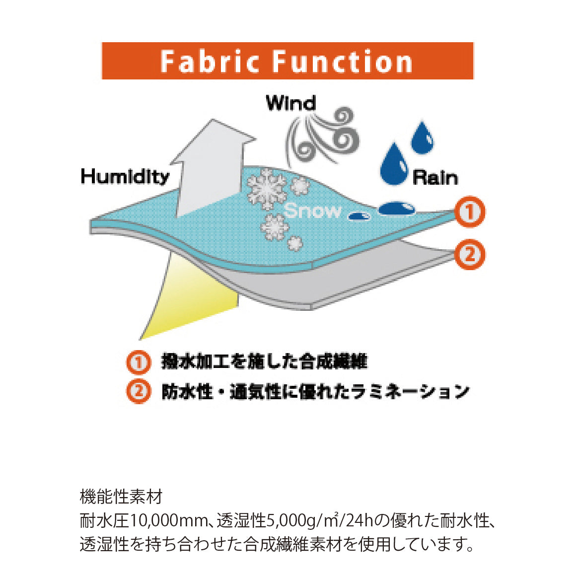 スノーボード ウェア フォーナイン FNS49 JUNIOUR PANTS REAL-D 25-26 送料無料 日本正規品 予約商品 店頭受け取り可能