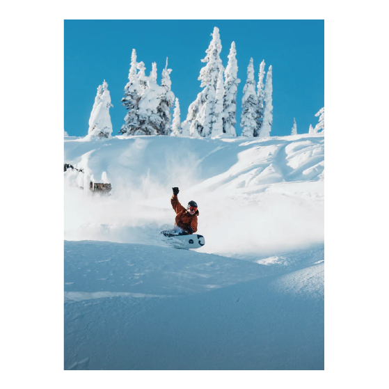 BURTON スノーボード バートン Family Tree Hometown Hero X-Ray 2224513E1Q 26-27 板 日本正規品