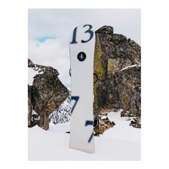 BURTON スノーボード バートン Family Tree Hometown Hero X-Ray 2224513E1Q 26-27 板 日本正規品