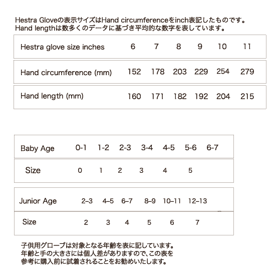 HESTRA グローブ ヘストラ Topo 3-Finger White 33872 26-27 スノーボードグローブ 日本正規品