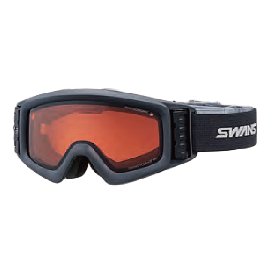 SWANS ゴーグル HELI-CPDTBR-N 26 CABK HELI-CPDTBS-N 26 26-27 スノーボードゴーグル 日本正規品