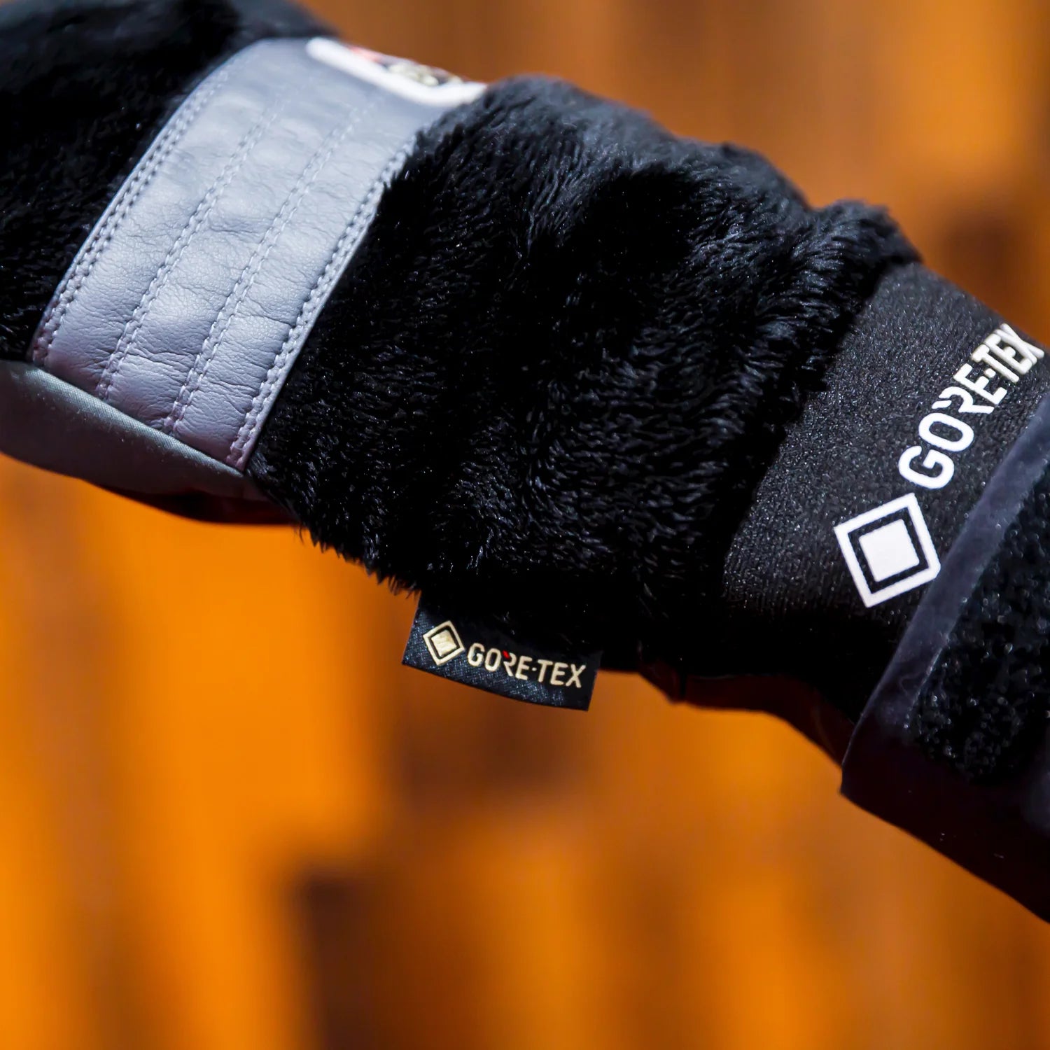 スノーボード グローブ エビス EBS GORE-TEX EXCLUSIVE 25-26 送料無料 日本正規品 予約商品 店頭受け取り可能