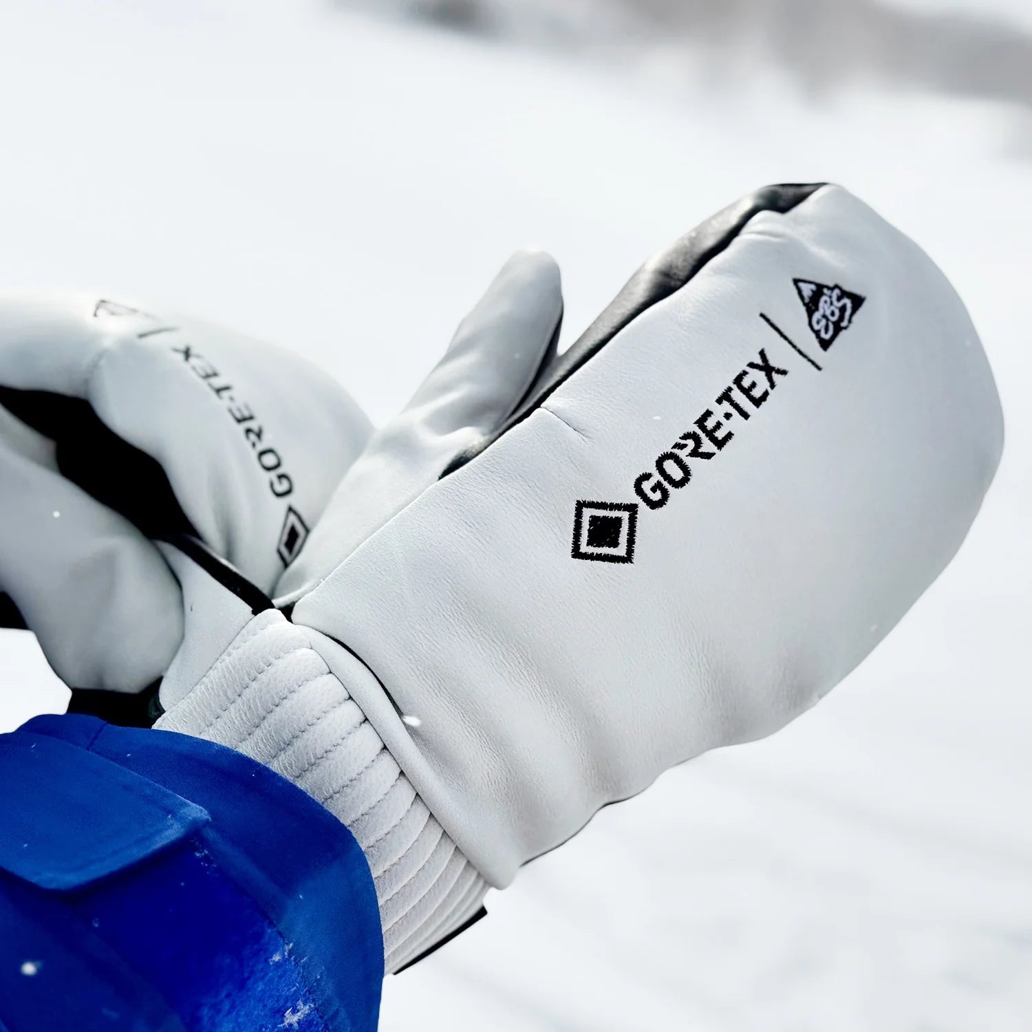 スノーボード グローブ エビス EBS CARVING MITT 25-26 送料無料 日本正規品 予約商品 店頭受け取り可能