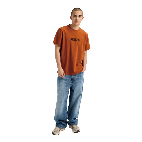 BURTON バートン OverSpray Short Sleeve T-Shirt Spiced Chai 3101910E9W 26-27 日本正規品