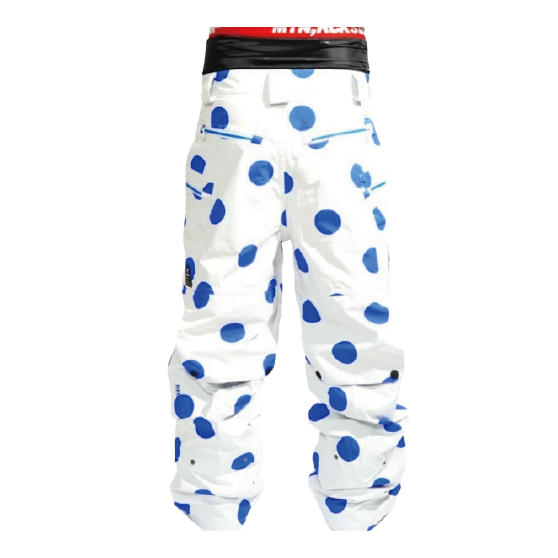 MTN,ROCK STAR ウェア マウンテン ロックスター PARACHUTE PANTS ( 3layer fabric ) 26-27 スノーボードウェア 日本正規品
