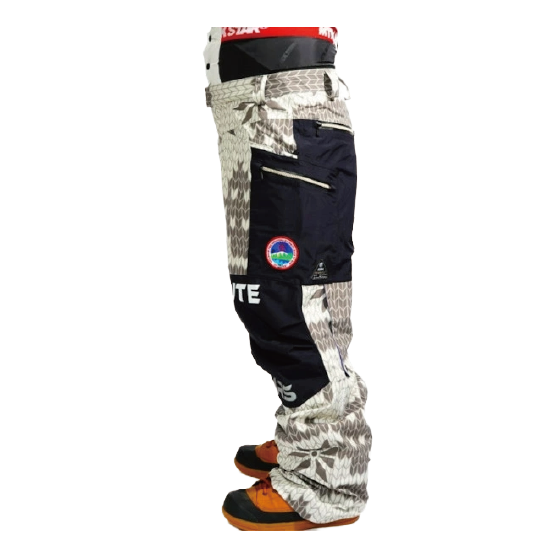 MTN,ROCK STAR ウェア マウンテン ロックスター PARACHUTE PANTS ( 3layer fabric ) 26-27 スノーボードウェア 日本正規品