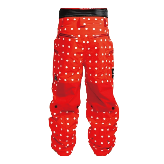 MTN,ROCK STAR ウェア マウンテン ロックスター PARACHUTE PANTS ( 3layer fabric ) 26-27 スノーボードウェア 日本正規品