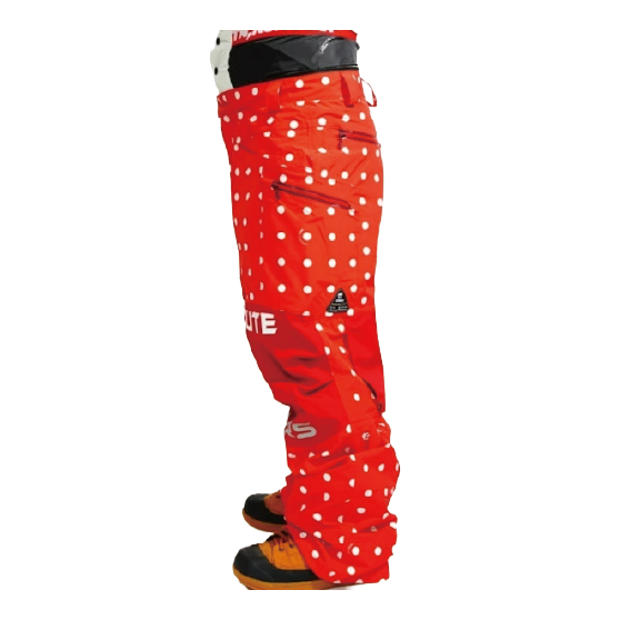 MTN,ROCK STAR ウェア マウンテン ロックスター PARACHUTE PANTS ( 3layer fabric ) 26-27 スノーボードウェア 日本正規品