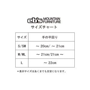 スノーボード アクセサリー イービーエス EBS WRIST PROTECTOR BLACK 25-26 送料無料 日本正規品 予約商品 店頭受け取り可能