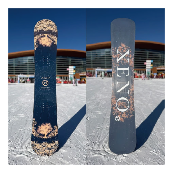 GT SNOWBOARDS スノーボード ジーティー XENO 26-27 板 日本正規品