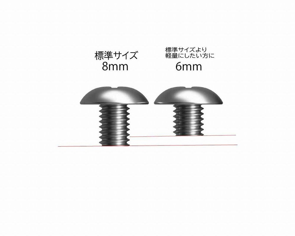 PLATEPIA  ネジ・ワッシャーセット（8ミリ）標準 スノーボード アクセサリー