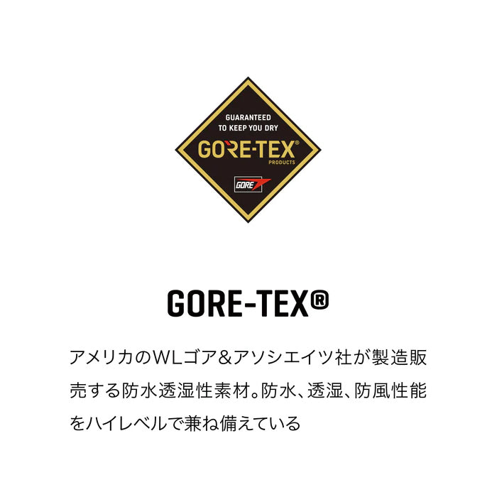 スノーボード グローブ ダカイン DAKINE SATURN　GORE-TEX MITTS GRI 25-26 送料無料 日本正規品