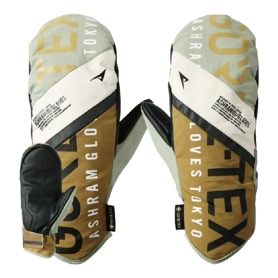 ASHRAM アシュラム [ashram] PROFILE LOGO MITT 24-25 スノーボード グローブ Lt Green Beige