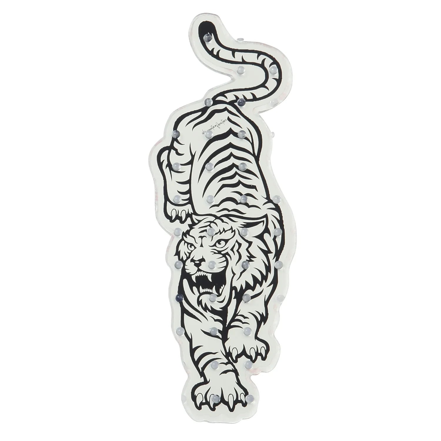 EBS エビス STOMP TIGER 25-26 スノーボード アクセサリー TIGER