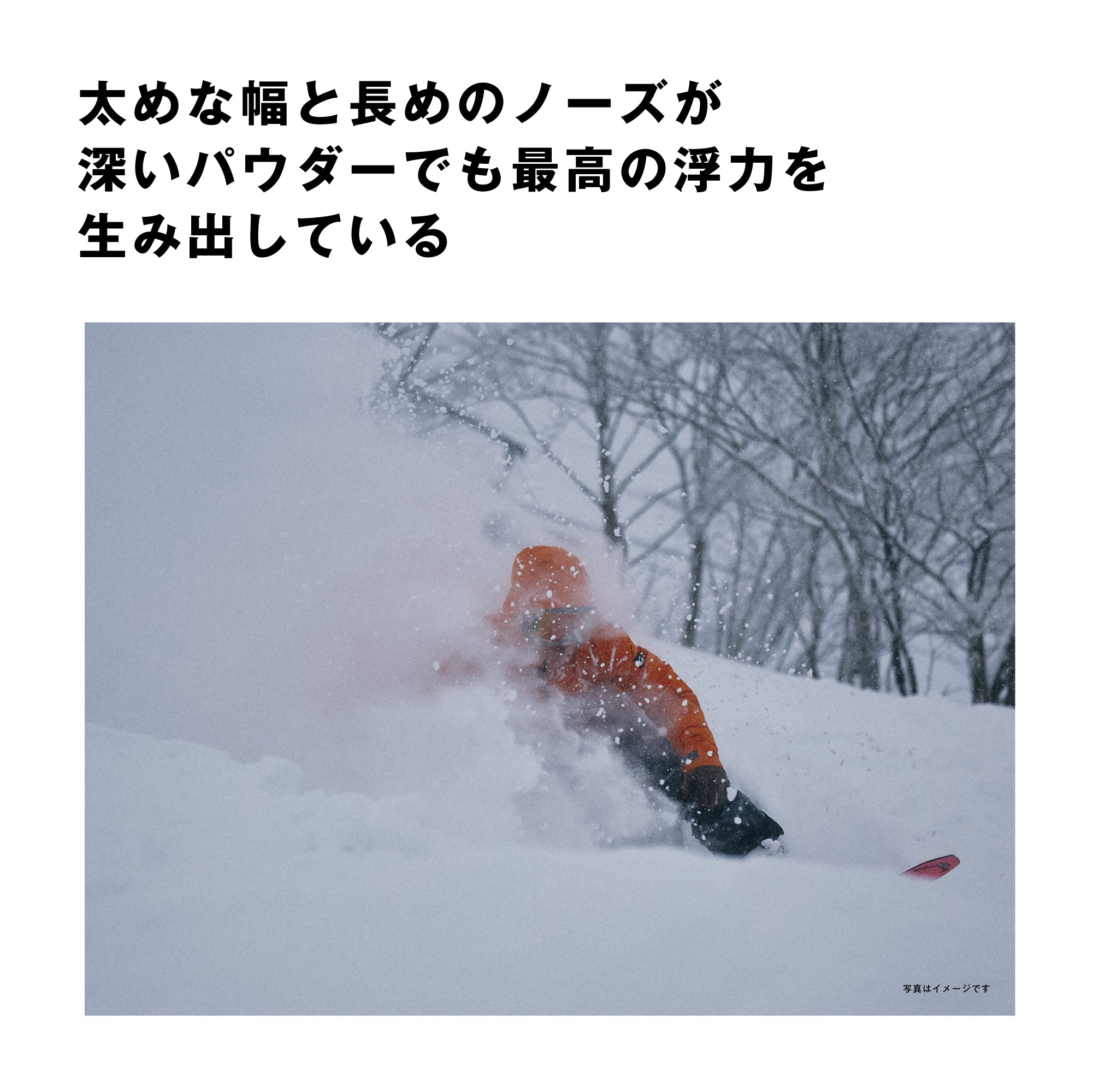 25-26 SALOMON DANCEHAUL GROM   スノーボード 日本正規品 早期予約
