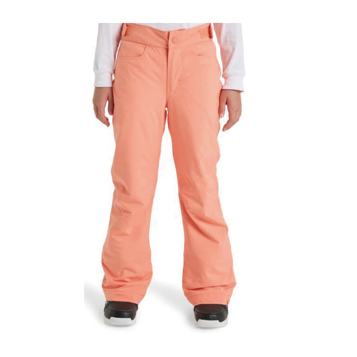 25-26 ROXY BACKYARD GIRL PT NKN0 スノーボード 日本正規品 早期予約