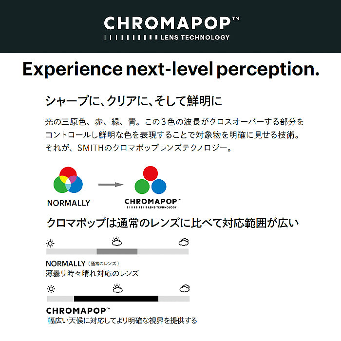 SMITH スミス 【smith】Late Squad MAG Blackout ”Tadashi Fuse” 25-26 スノーボード ゴーグル