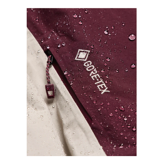 BURTON ウェア バートン  Men's [ak] Cyclic GORE-TEX 2L Jacket Rum Raisin/Chinchilla Gray 3076310EVG 26-27 スノーボードウェア 日本正規品