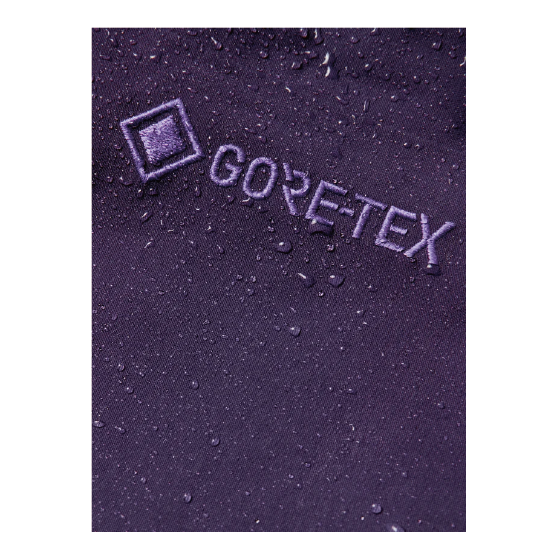 BURTON ウェア バートン  Men's [ak] Cyclic GORE-TEX 2L Pants Nightshade Purple 3076710E7Z 26-27 スノーボードウェア 日本正規品