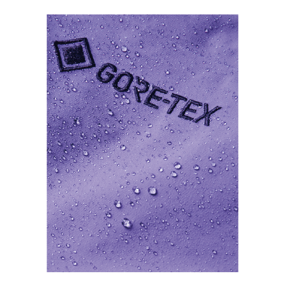 BURTON ウェア バートン  Men's [ak] Swash Insulated GORE-TEX 2L Pants Purple Voltage 3075910E8Q 26-27 スノーボードウェア 日本正規品
