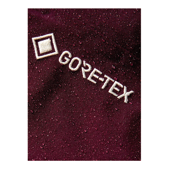 BURTON ウェア バートン  Men's [ak] Swash Insulated GORE-TEX 2L Pants Rum Raisin 3075910FAK 26-27 スノーボードウェア 日本正規品