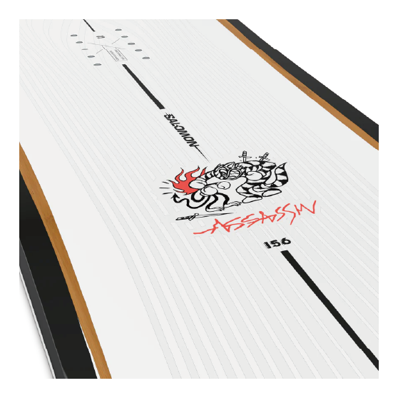 SALOMON サロモン ASSASSIN 25-26 スノーボード ボード