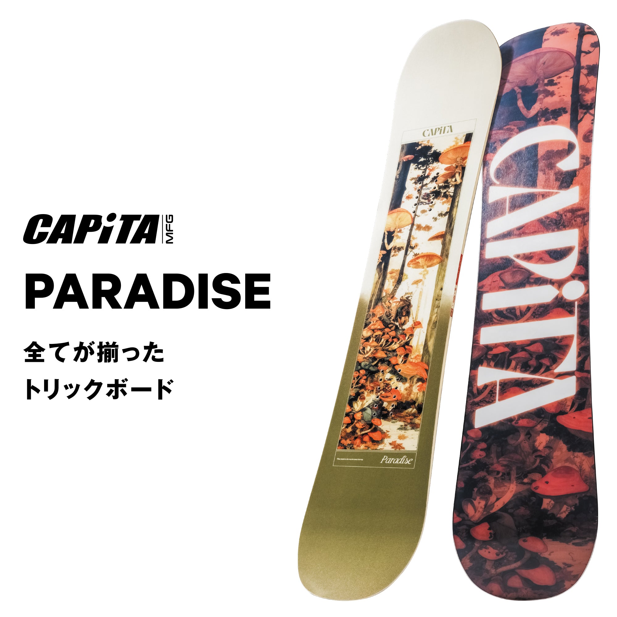 CAPITA キャピタ PARADISE 25-26 スノーボード ボード