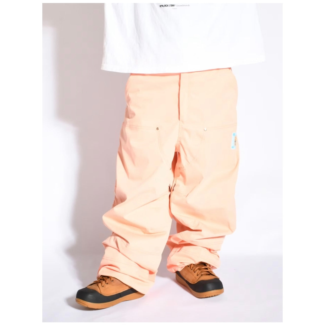 スノーボード ウェア プランビー PLAN B PAINTER PANTS  PINK 送料無料 日本正規品 予約商品 店頭受け取り可能