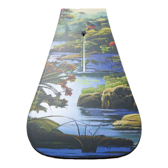 BURTON スノーボード バートン Men's Custom Camber JUNGLE 106881A97D 26-27 板 日本正規品
