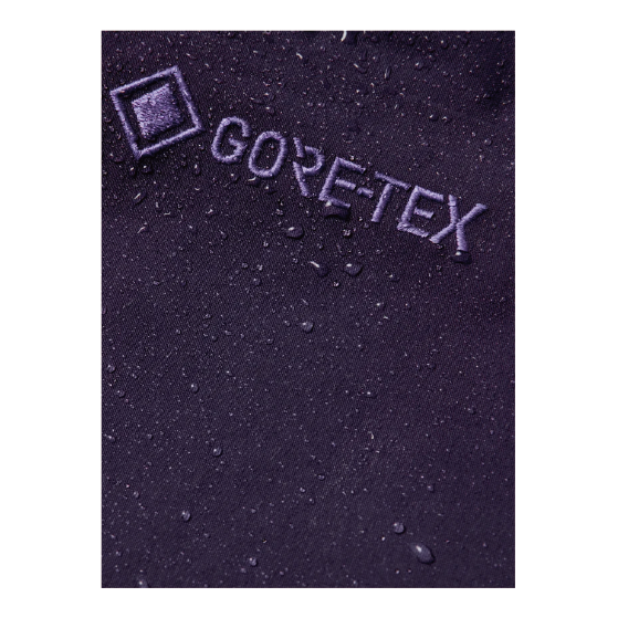 BURTON ウェア バートン  Men's [ak] Cyclic GORE-TEX 2L Bib Pants Nightshade Purple 3076510E7Z 26-27 スノーボードウェア 日本正規品