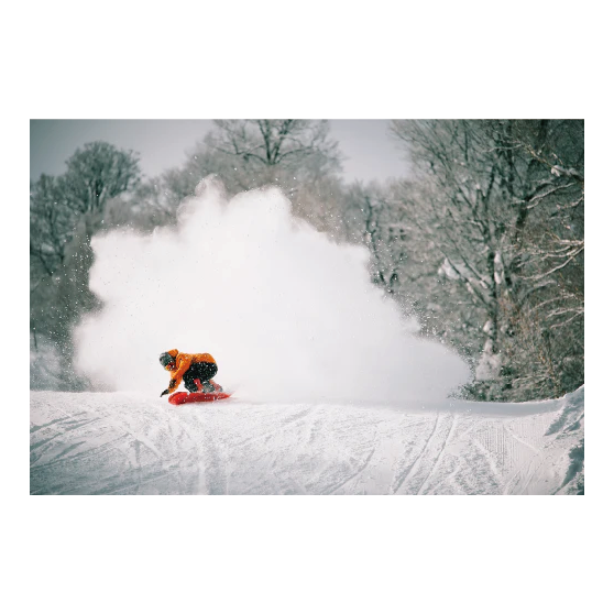 SALOMON サロモン DANCEHAUL 25-26 スノーボード ボード