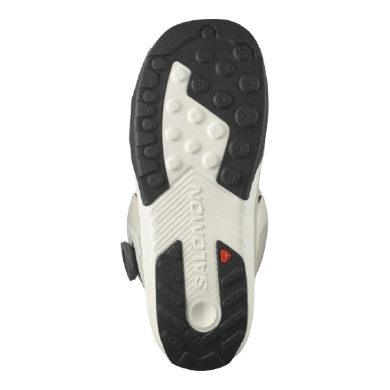 スノーボード ブーツ サロモン SALOMON DIALOGUE DUAL BOA TEAM VAPOROUS GREY / ANTARCTICA / CALYPSO CORAL 25-26 日本正規品