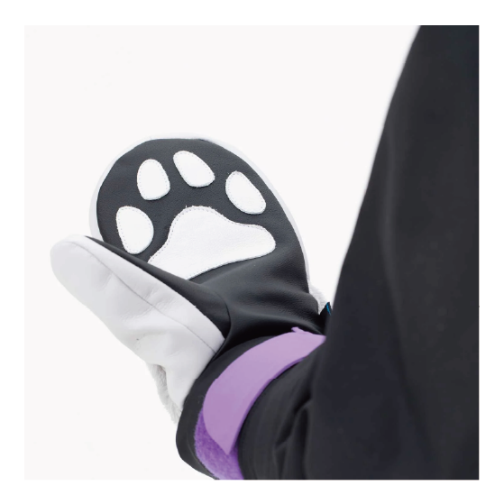 EBS グローブ エビス EXCLUSIVE MITT ICE FUR 4600019 26-27 スノーボードグローブ 日本正規品