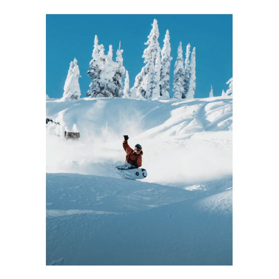 BURTON スノーボード バートン Family Tree Hometown Hero EARTH 2224513BO2 26-27 板 日本正規品