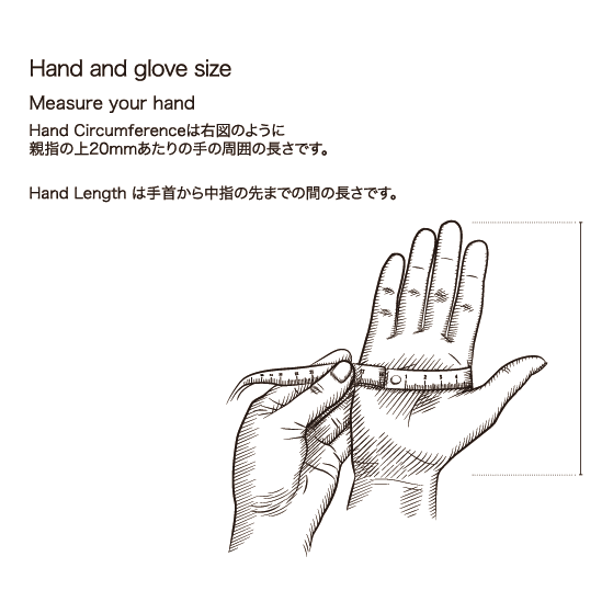 HESTRA グローブ ヘストラ Topo 3-Finger White 33872 26-27 スノーボードグローブ 日本正規品