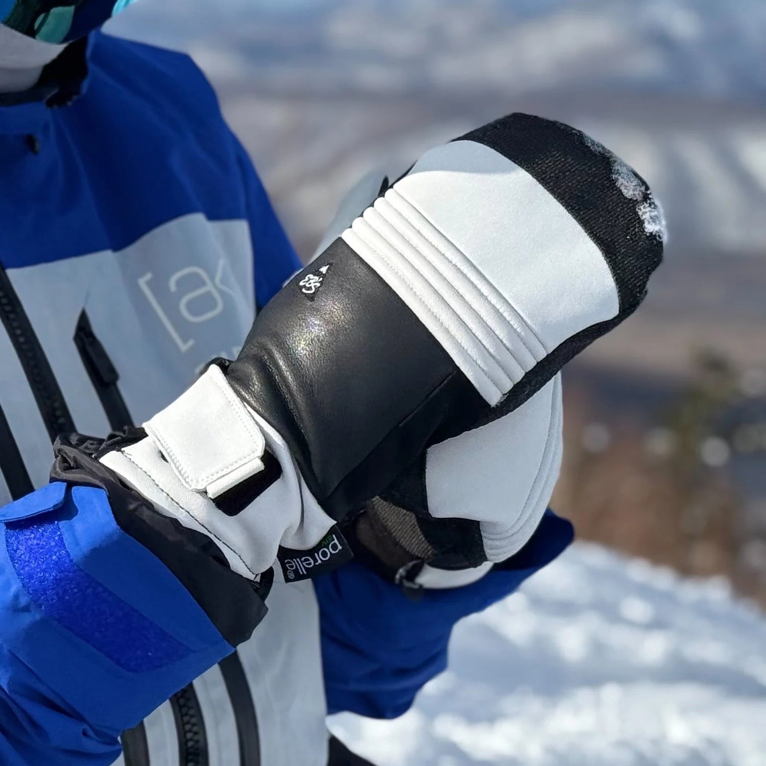 スノーボード グローブ エビス EBS CARVING MITT STRONG 25-26 送料無料 日本正規品 予約商品 店頭受け取り可能