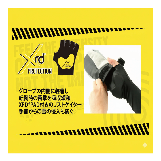 EBS グローブ エビス PALM PAD XRD BLACK 4600035 26-27 スノーボードグローブ 日本正規品