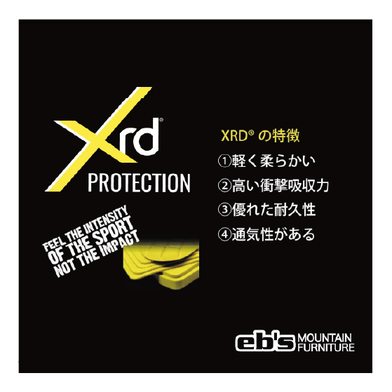 EBS グローブ エビス PALM PAD XRD BLACK 4600035 26-27 スノーボードグローブ 日本正規品