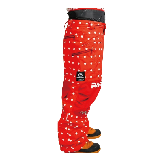 MTN,ROCK STAR ウェア マウンテン ロックスター PARACHUTE PANTS ( 3layer fabric ) 26-27 スノーボードウェア 日本正規品