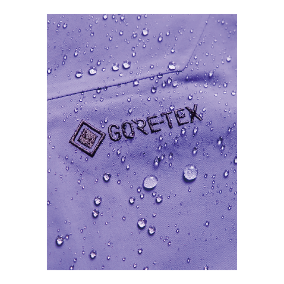 BURTON ウェア バートン  Women's [ak] Cyclic GORE-TEX 2L Bib Pants Purple Voltage 3076610E8Q 26-27 スノーボードウェア 日本正規品