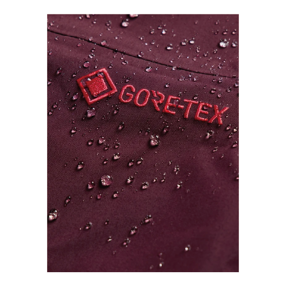 BURTON ウェア バートン  Women's [ak] Cyclic GORE-TEX 2L Bib Pants Rum Raisin 3076610FAK 26-27 スノーボードウェア 日本正規品